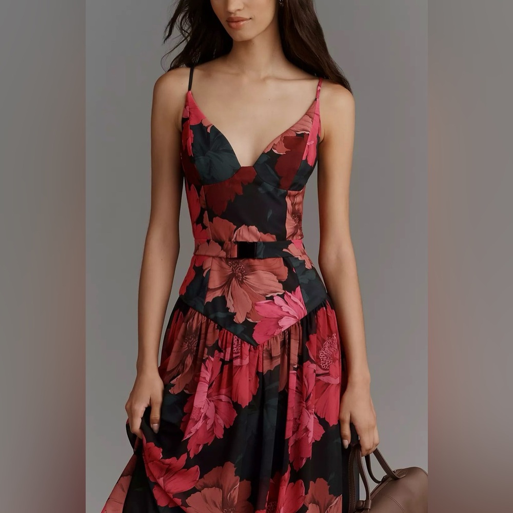 Hutch Ruby Sweetheart Drop-Waist Maxi Dress with Belt - Picture 4 of 4